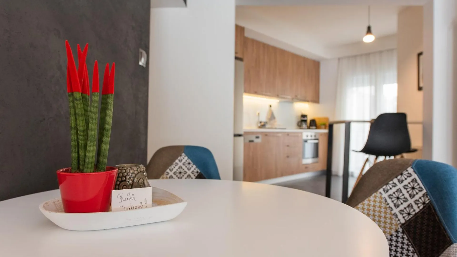 Sansevieria Central Saloniki Apartament